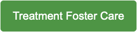 Treatment Foster Care