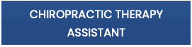 Chiropractic Therapy Assistant