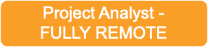 Project Analyst Remote