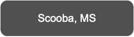 Scooba MS