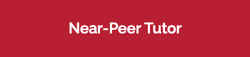 Near-Peer Tutor